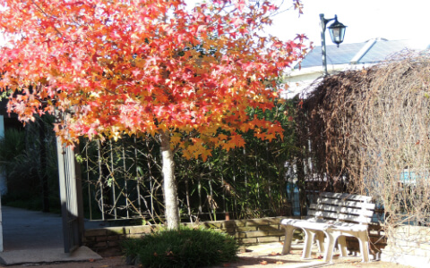 Hotel Lamas - Piscina del Hotel